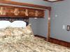 BED-1